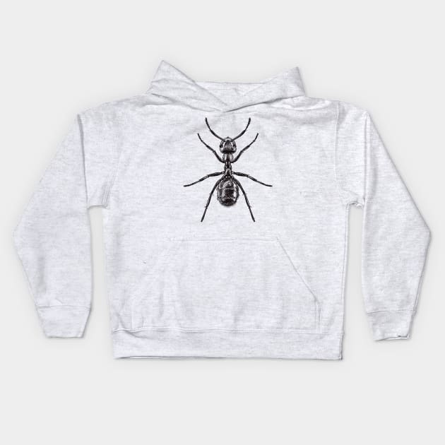 Drawing of an ant Kids Hoodie by StefanAlfonso